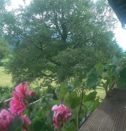 Ferienwohnung Alpin Apartman
